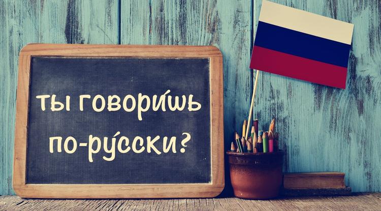 Русский язык (индивидуально)
